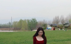 护国天龙小说免费陈天龙纪秋水